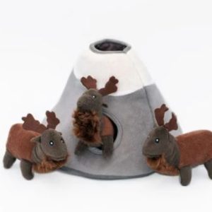 18-3.jpg Burrow Elan des montagnes