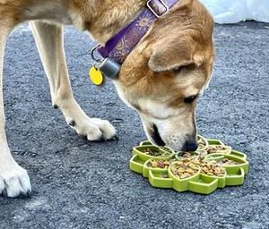 Sodapup Plateau Mandala