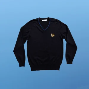 26_b6532128-bdd8-41b0-909a-22c0be465725.pngv1736620874 ISM V-Neck Winter Jumper (Primary & Secondary)