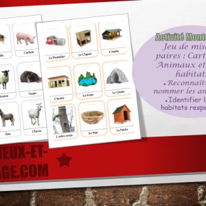 Activité Montessori Jeu de mise en paires 36 Cartes Animaux et habitats