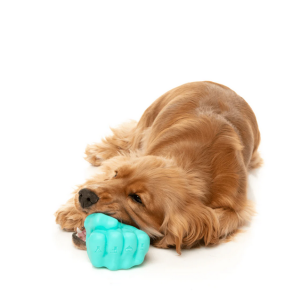 Capggture.png Jouet Point distributeur