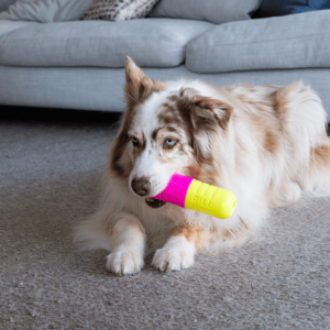 CaptVVure.png Pilule distributrice couinante