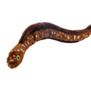 Capture-decran-2022-06-08-162846.jpg Max la murène