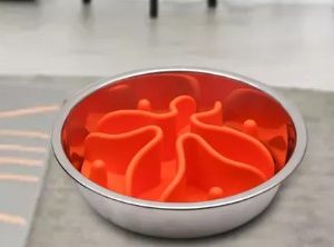 Anti glouton pour Gamelle