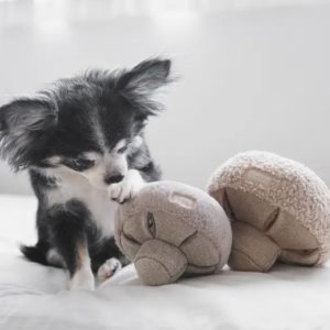 Capture-decran-2023-05-27-005339.jpg Jouet de fouille Champignon GUU