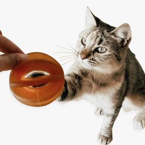 Capture-decran-2023-08-24-213805.jpg Rub Funny Ball pour chat – retorn