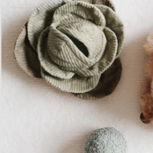 Capture-decran-2024-02-20-000459.png Jouet de fouille : Chou