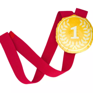 Capture-decran-2024-08-01-152718.png Médaille d’or Doglympic