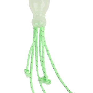 Capture-decran-2024-10-01-141311.png Méduse/Poulpe Phosphorescente