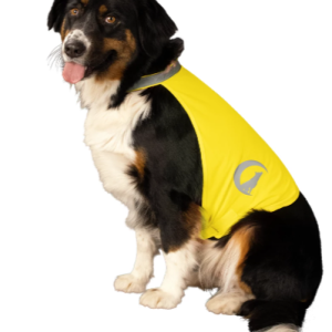 Capture-decran-2024-10-01-173135.png Nightwalk Gilet de sécurité