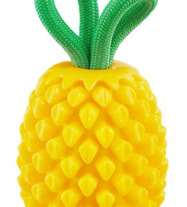 Capture-decran-2024-11-07-184802.png Ananas dentaire 2 en 1