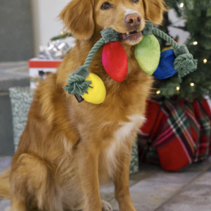 Guirlande de Noël Petplay