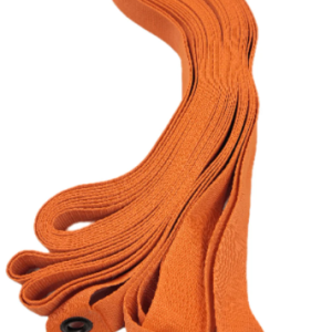 Capture-decran-2025-02-28-002938.png Ruban carré Obéissance ou Hoppers