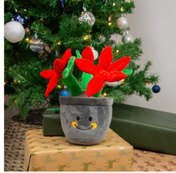 Capture-decran-2025-10-11-154426.png Henrietta poinsettia