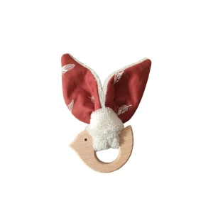 Anneau de dentition oiseau