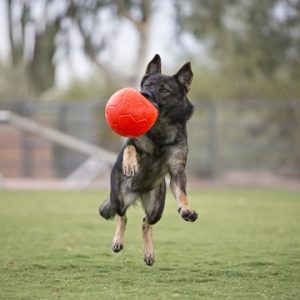 JOLL036B-JOLL037B3.jpg Jolly Soccer Ball