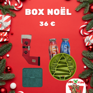 Box Noël Chien