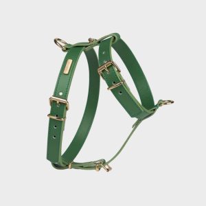 branni-pets-harnais-chien-cuir-vert-nara.jpgv1713804112 HARNAIS EN CUIR POUR CHIEN - VERT