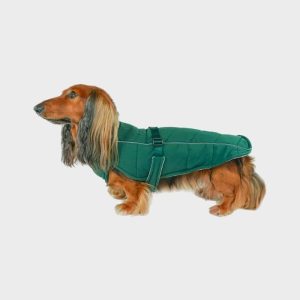 django-manteau-pour-chien-vert-emeraude-teckel.jpgv1706783894 MANTEAU POUR CHIEN FACILE À ENFILER - VERT ÉMERAUDE