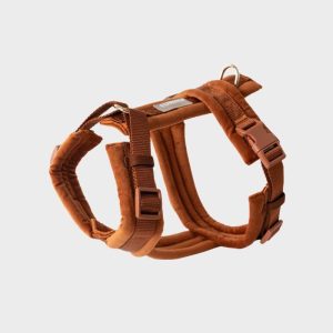 furlou-harnais-pour-chien-velvet-velours-clay-terre-cuite.jpgv1752593255 HARNAIS EN VELOURS EN H POUR CHIEN - ORANGE TERRE CUITE "CLAY VELVET"