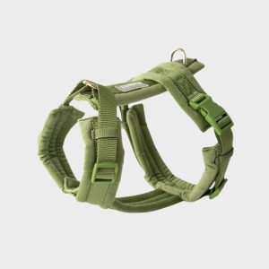 furlou-harnais-pour-chien-velvet-velours-vert-green.jpgv1753964139 HARNAIS EN VELOURS EN H POUR CHIEN - VERT "GREEN VELVET"