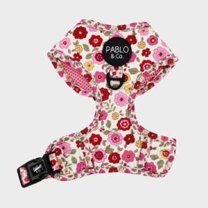 pablo-and-co-harnais-pour-chien-primrose.jpgv1747407777 HARNAIS POUR CHIEN IMPRIMÉ - PRIMROSE 🌸