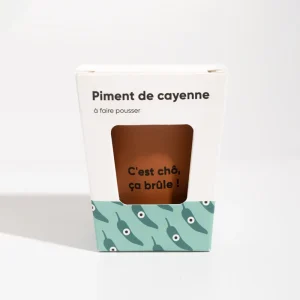 piment-a-faire-pousser-2.jpgv1695832149 Piment à faire pousser