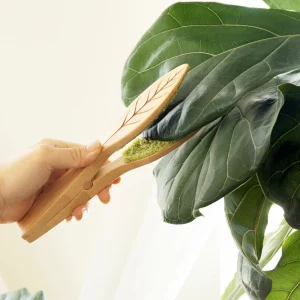 pince-de-nettoyage-pour-feuilles-2.jpgv1681909184 Pince de nettoyage pour feuilles