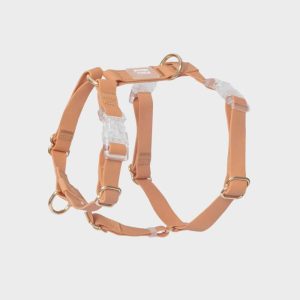 shop-sunny-tails-harnais-pour-chien-impermeable-marron-chai.jpgv1698669991 HARNAIS POUR CHIEN WATERPROOF - MARRON CHAI *BOUCLES TRANSPARENTES*