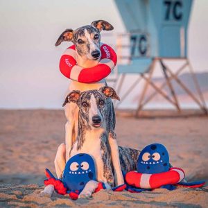 c.jpg Pieuvre sauveteuse